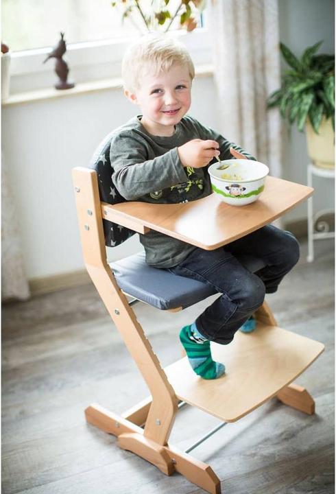 Image du produit Tissi Rembourrage pour chaise haute