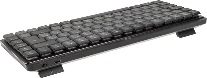 Actual product image Logitech MX Mechanical Mini (DE, Wireless)