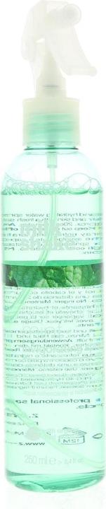 Actual product image Milk_Shake sensorial mint - Invigorating Spray (250 ml)