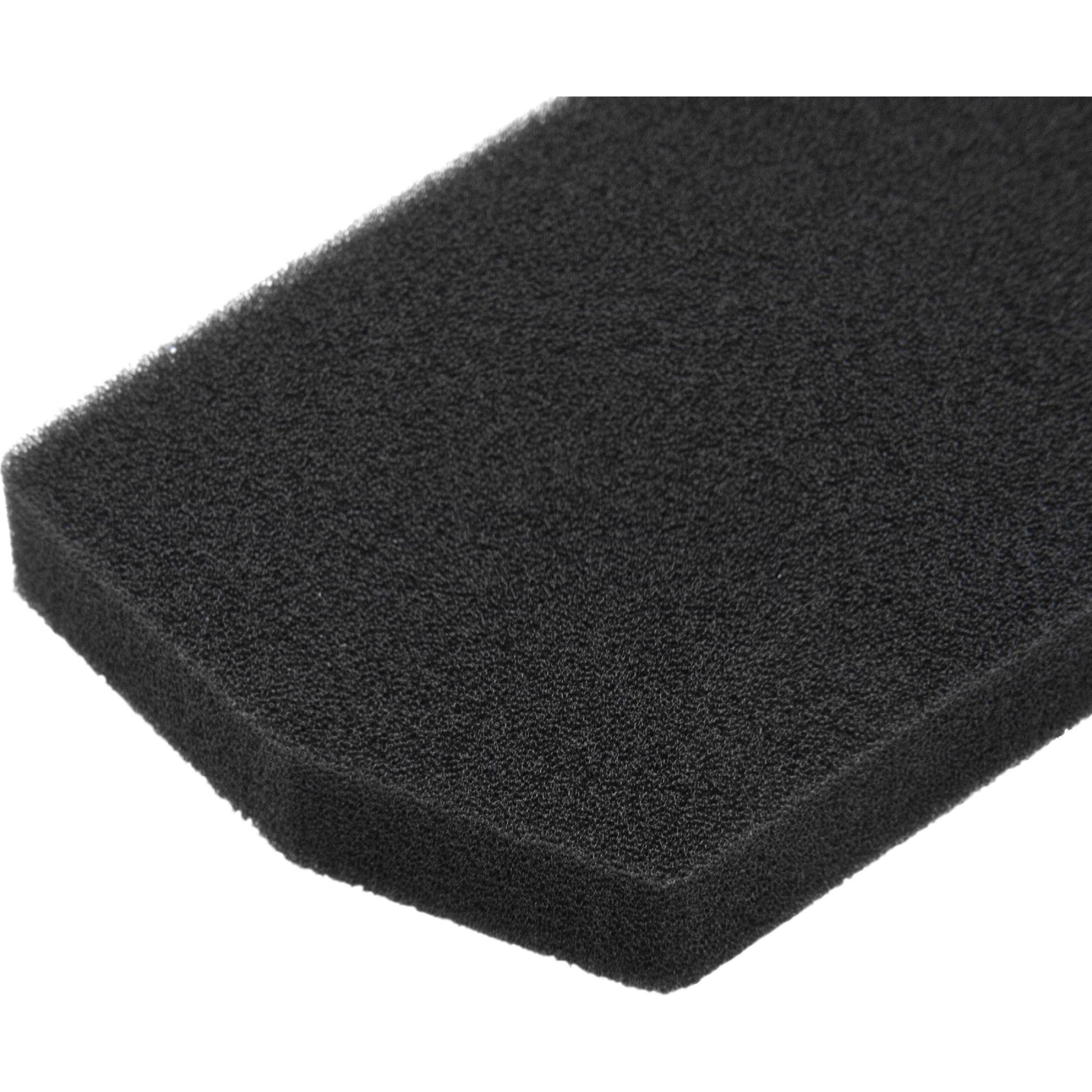 AccuCell Staubsaugerfilter für Staubsauger wie Rowenta RS-RT4042, Schaumstoff Filter, Schaumstoff, Staubsauger Zubehör, ...