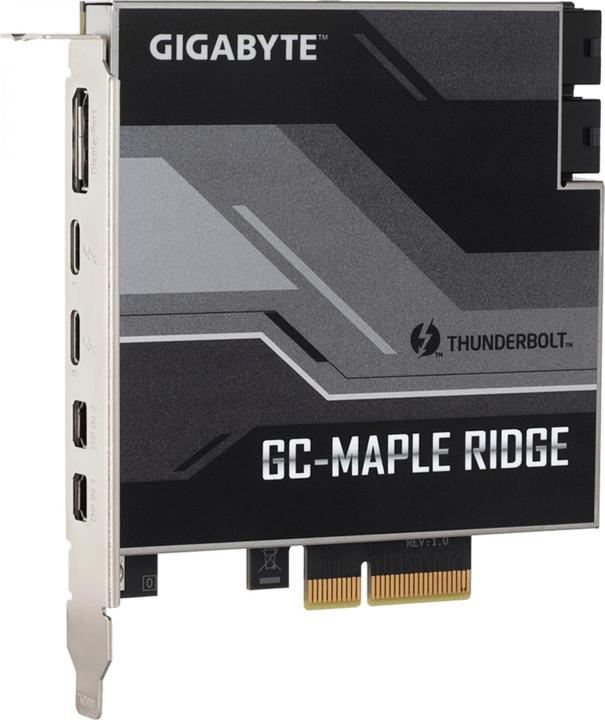 Actual product image Gigabyte GC-Maple Ridge (PCI Express 3.0 x4)
