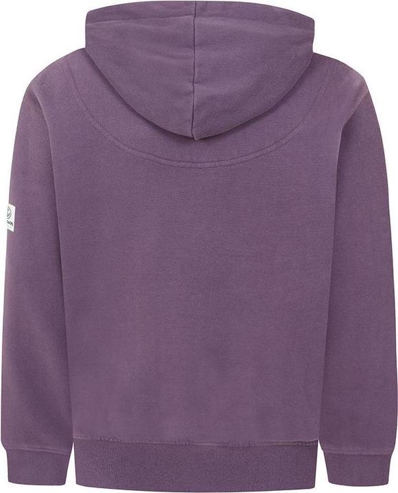 Actual product image Lazy Jacks Childrens/Kids Established Hoodie (140)