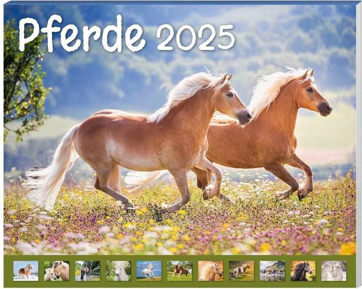 Pferde Kalenderpaket 2025, 9-teilig (Deutsch)