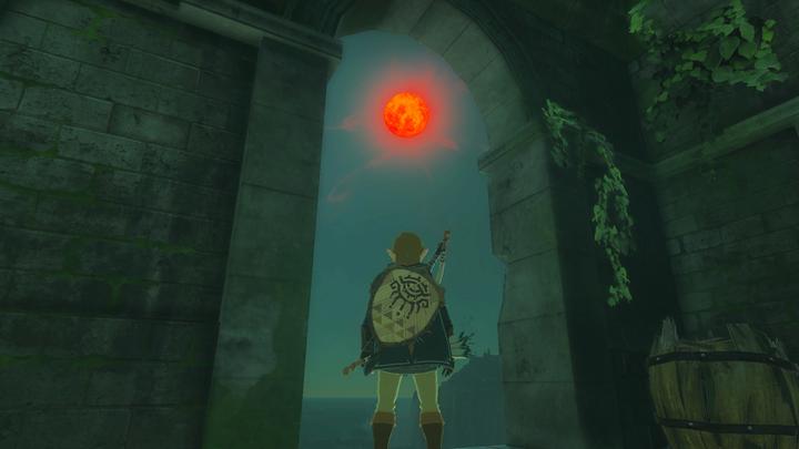 Image du produit Nintendo The Legend of Zelda : Tears of the Kingdom Édition collector (Switch, FR, EN)