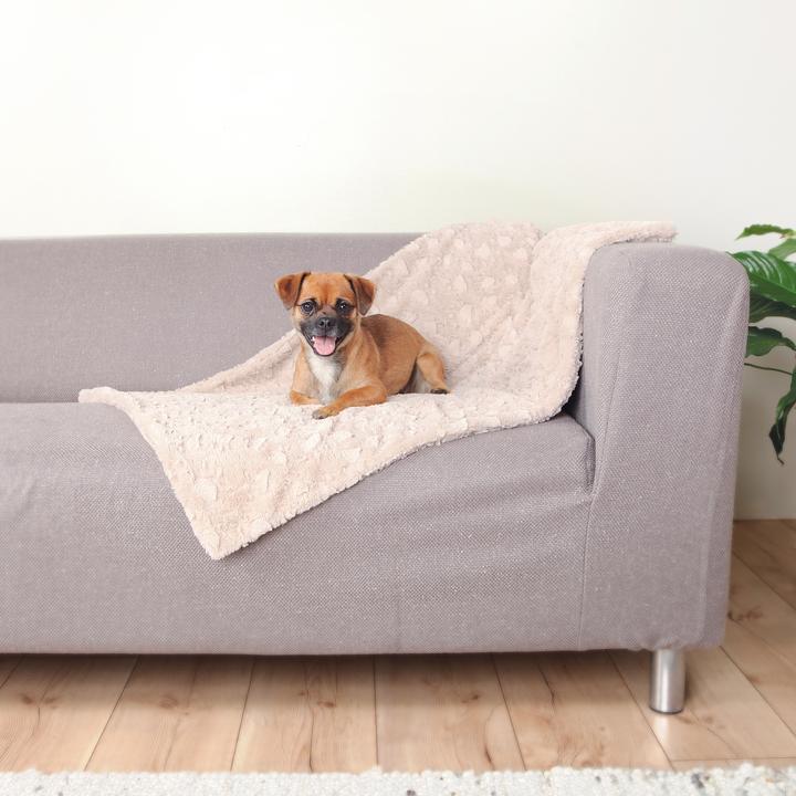 Actual product image Trixie Cosy blanket (Dog)