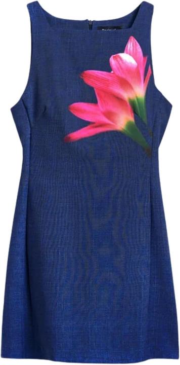 Image du produit Desigual Ginebra (XL)