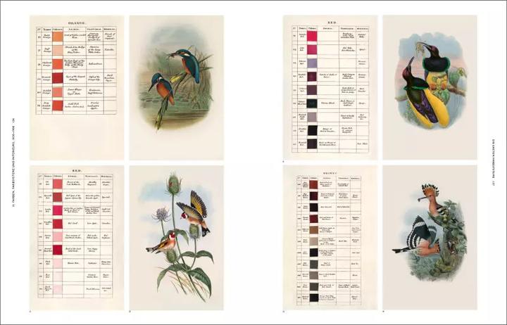 Produktbild Die Natur der Farben (Deutsch, Patrick Baty, 2018)