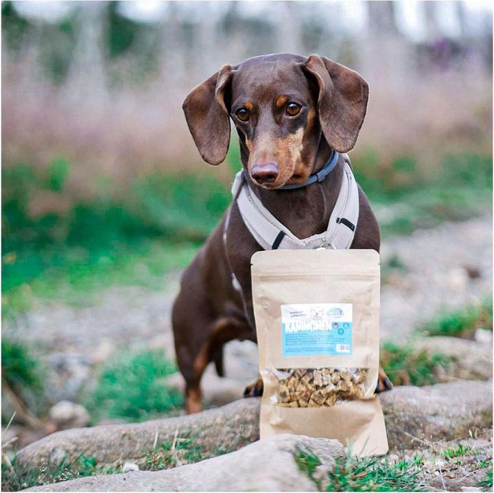 Produktbild Sollis Mini-Fleischwürfel Kaninchen 100g (Adult, 100 g)