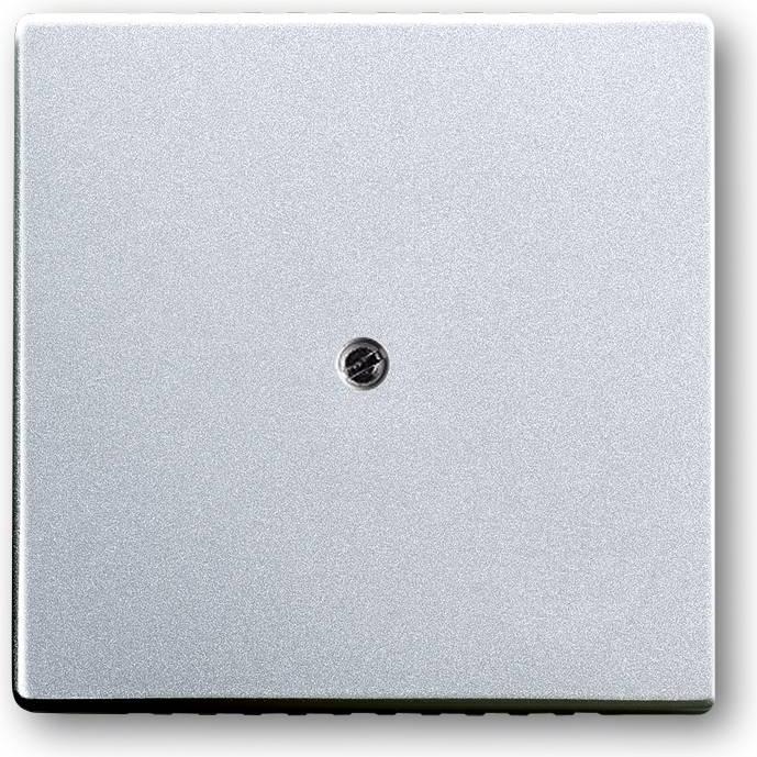 Produktbild Busch-Jaeger Zentralscheibe 2CKA001710A3675