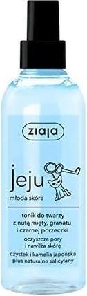 Actual product image Ziaja Jeju Face Skin Tonic - Skin Tonic (Face toner, 200 ml)