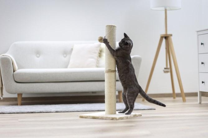 Actual product image Kerbl Opal-Maxi (78 cm, Grey)