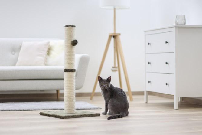 Actual product image Kerbl Opal-Maxi (78 cm, Grey)