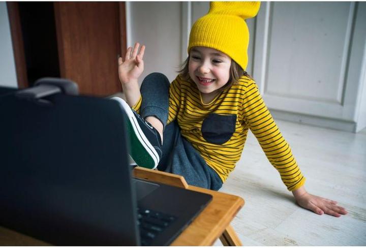 Productafbeelding Logitech C505 (0.90 Mpx)