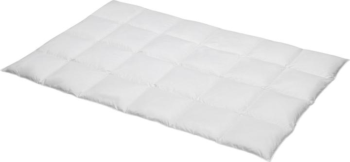 Actual product image Erwin Müller Anchorage (800 g, Down, 155 x 200 cm)