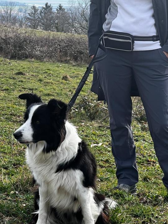 Actual product image Roony Running leash (Dog)