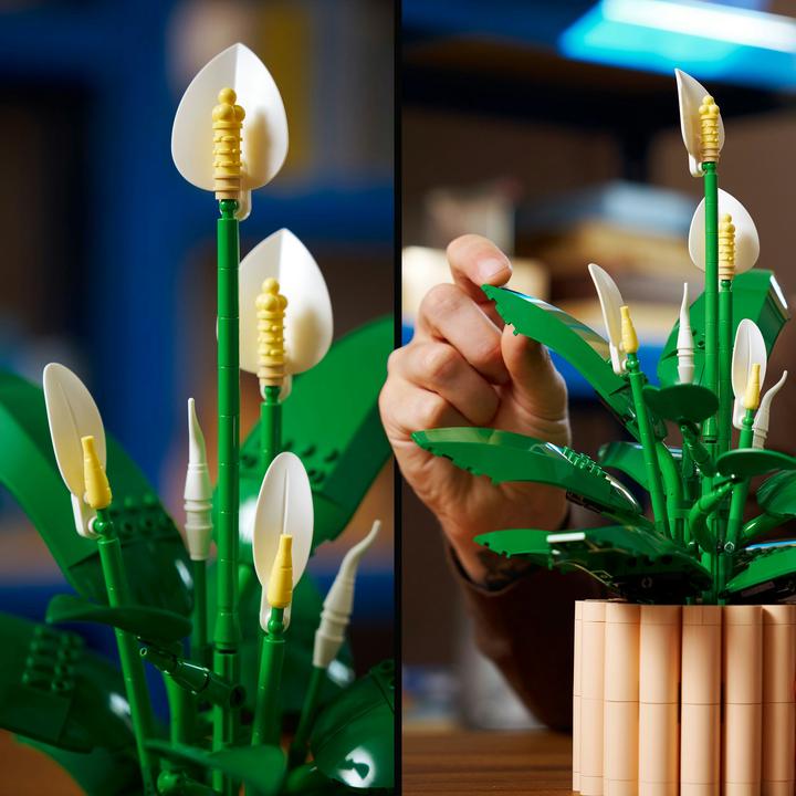 Image du produit LEGO Friedenslilie (11504, LEGO Botanical)