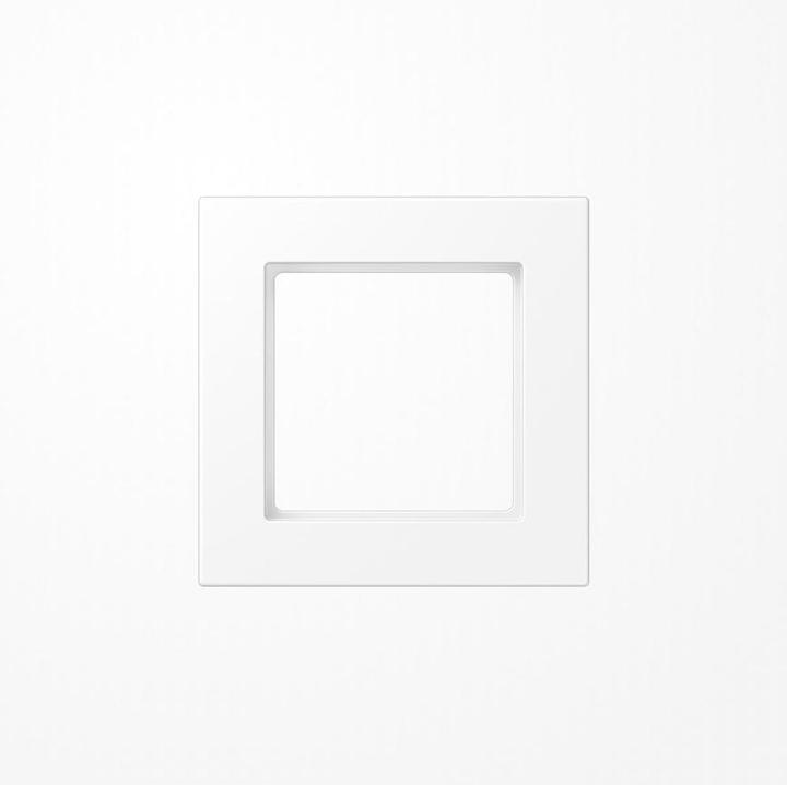 Actual product image JUNG Frame 1f A 550 A5581BFWWM snow white