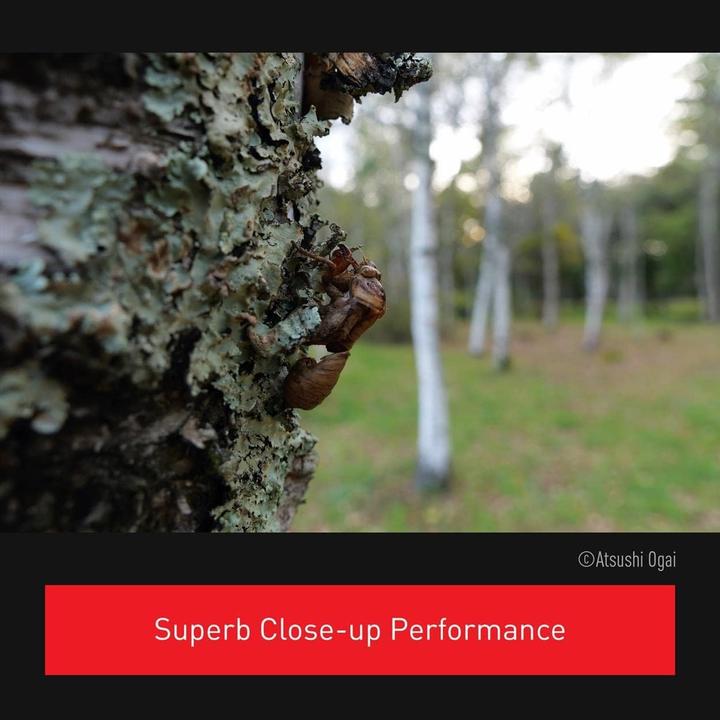 Produktbild Panasonic Leica DG 12-35mm F2.8 OIS (Micro Four Thirds, Micro Four Thirds)