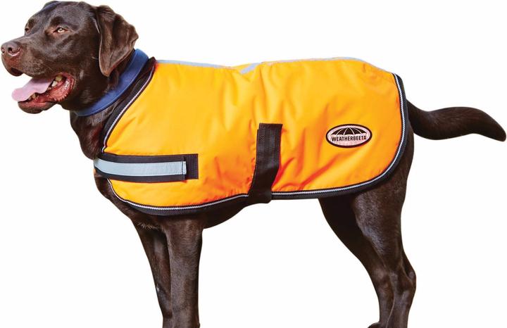 Image du produit Weatherbeeta Comfitec Parka réfléchissante 300D Manteau pour chien (25, Manteau pour chien)