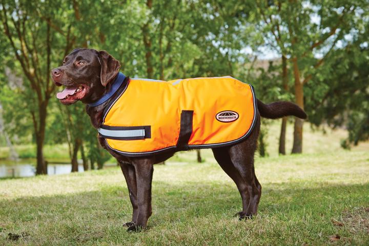 Image du produit Weatherbeeta Comfitec Parka réfléchissante 300D Manteau pour chien (25, Manteau pour chien)