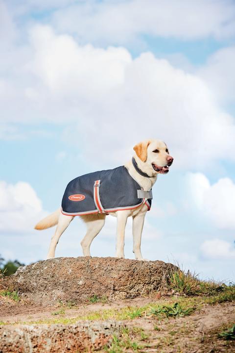 Actual product image Weatherbeeta Comfitec 1200D Therapy-Tec dog coat (25, Dog coat)