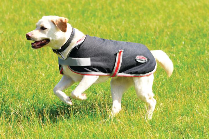 Actual product image Weatherbeeta Comfitec 1200D Therapy-Tec dog coat (25, Dog coat)
