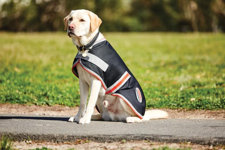 Actual product image Weatherbeeta Comfitec 1200D Therapy-Tec dog coat (25, Dog coat)