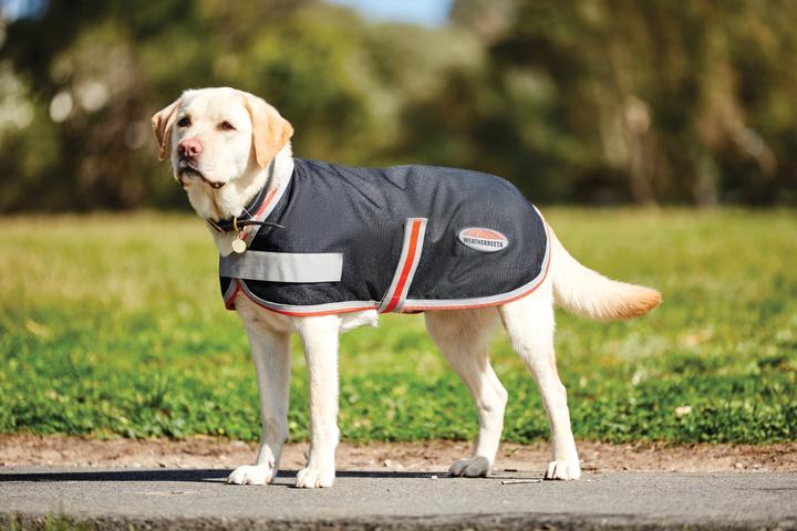 Actual product image Weatherbeeta Comfitec 1200D Therapy-Tec dog coat (25, Dog coat)