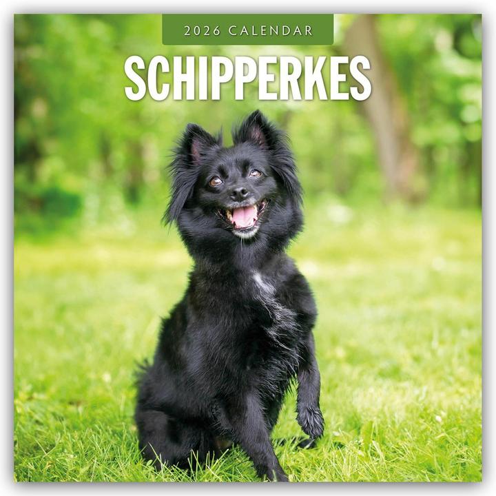 Produktbild Red Robin Publishing Ltd:Schipperkes - (30.5 x 30.5 cm)