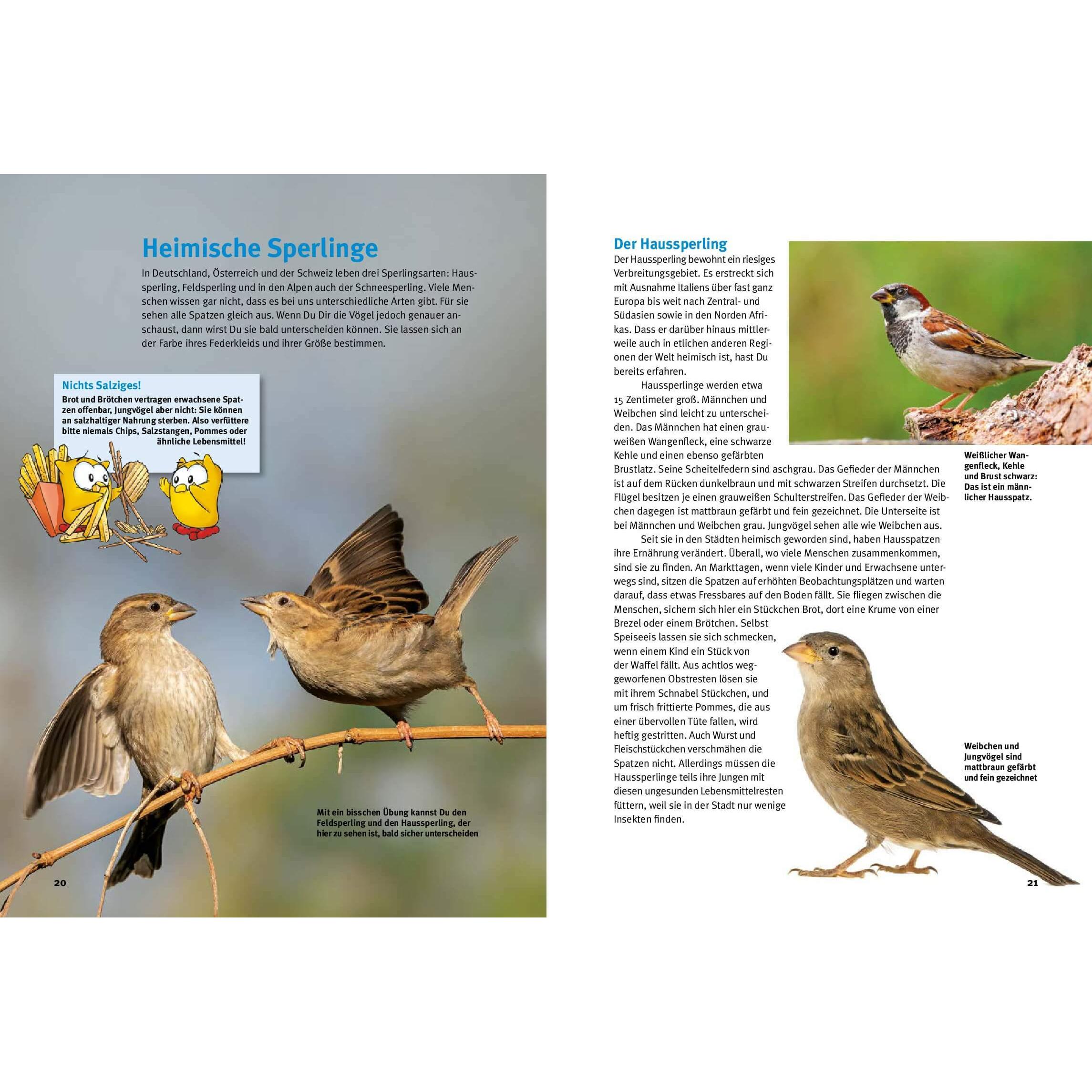 Thumbnail - Entdecke die Spatzen, Kinderbücher von Irmin Vogler, Inge Vogler