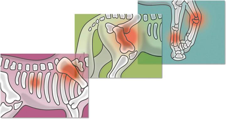 Actual product image Schleich Mobile Tierärztin mit Anhänger