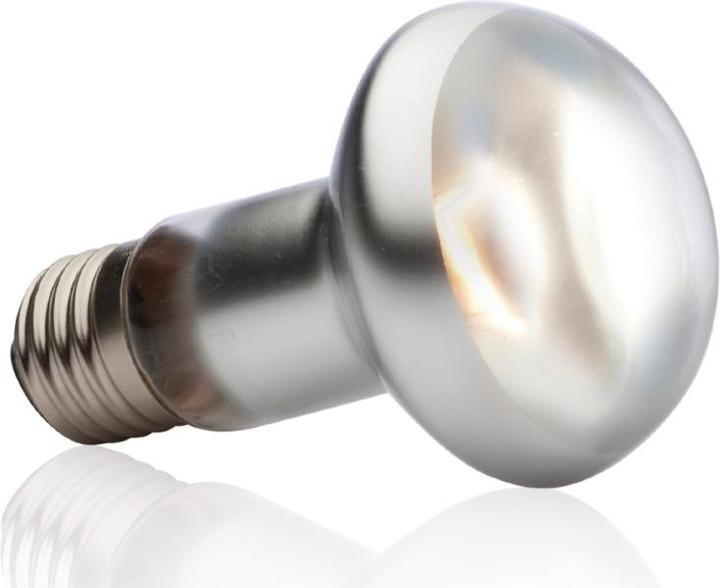 Image du produit Exo Terra Sun Glo Heat Spot Lamp TB 100W (UVA)