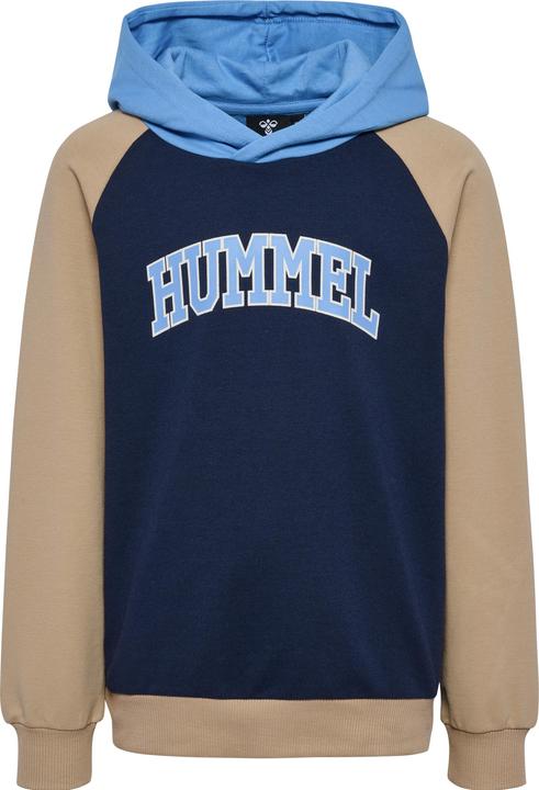 Actual product image hummel hmlESSEN HOODIE (134)