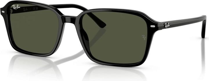 Image du produit Ray Ban Raimond
