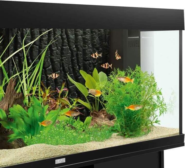 Immagine prodotto Juwel Aquarium Parete posteriore strutturata Juwel STR 600 (Pannello posteriore, altre voci)