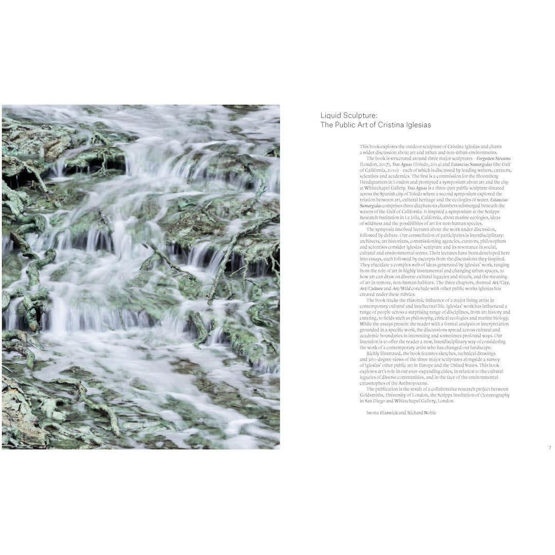 Thumbnail - Liquid Sculpture, Sachbücher von Russell Ferguson, Richard Noble, Exequiel Ezcurra, Jane Rendell, Estrella de Diego, And...