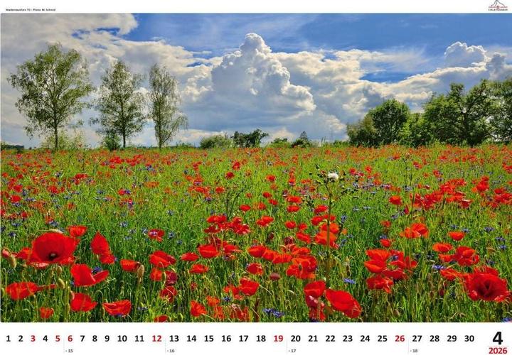 Produktbild Schweizer Impressionen 2026 (48 x 33 cm, Französisch, Deutsch, Italienisch)