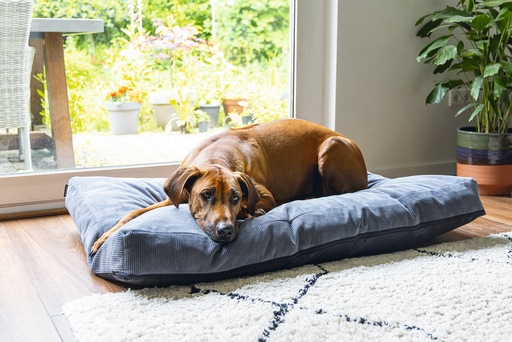 Immagine prodotto Beeztees Cuscino ortopedico per divano Veo (Cane)