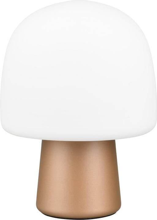 Image du produit Trio Steen (E14)