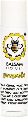 Actual product image Miodowa Mydlarnia Propolis Lip Balm 45ml (Lip balm, 45 ml)