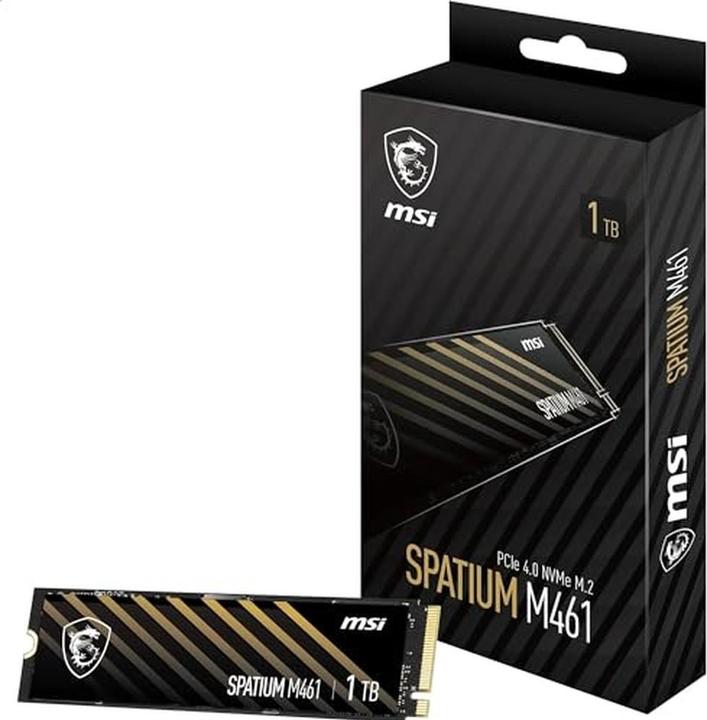Image du produit MSI Spatium M461 (1000 Go, M.2)