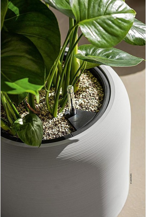 Actual product image Lechuza Havalo 60 (59 cm)