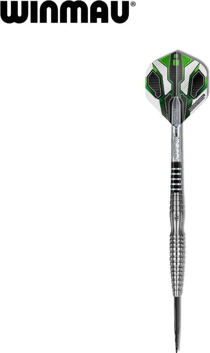 Image du produit Winmau siper acier (22 g)