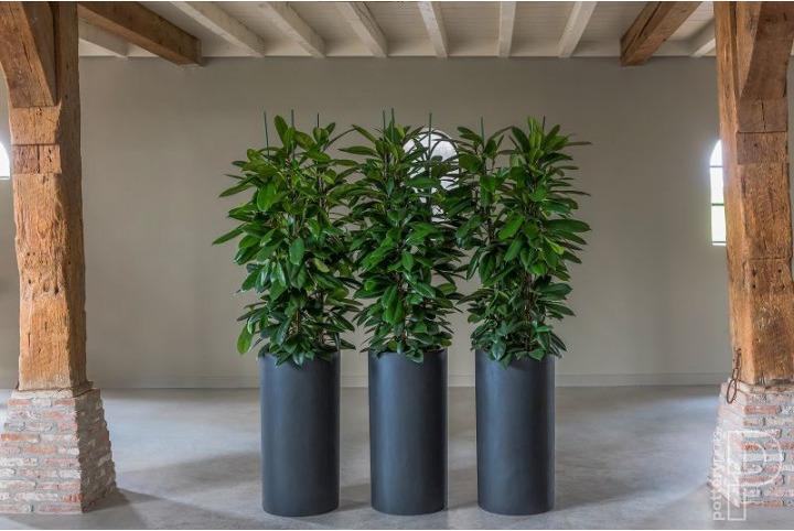 Produktbild Pottery Pots Klax M (30 x 60 cm)