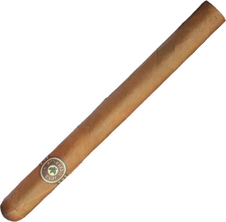 Image du produit Joya de Nicaragua Clasico Viajante (Gordo)