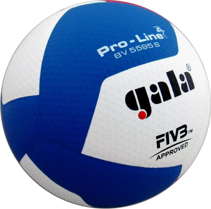 Actual product image Gala Volleyball Pro-Line BV5595S (5)
