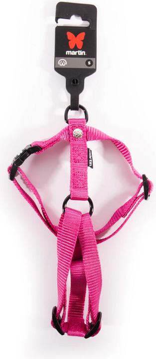 Actual product image Martin Sellier S (50, Dog, Walks)