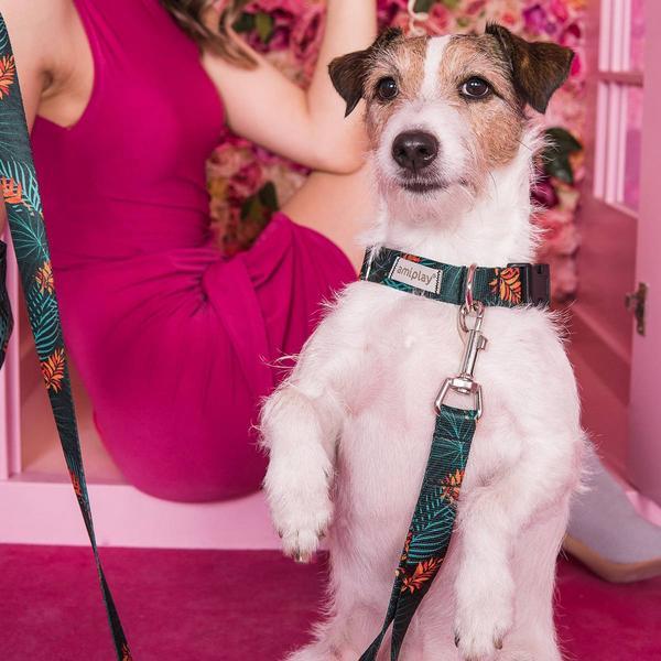 Actual product image amiplay Necklace Be Happy Cherry S, 15mm/20-35cm (S, Dog, General)