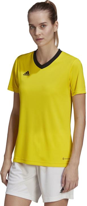 Immagine prodotto adidas Camicia da calcio Entrada 22 Donna (M)