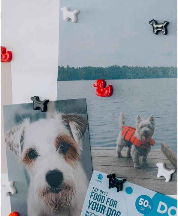 Produktbild I Am Creative Dekomagnete (6x)